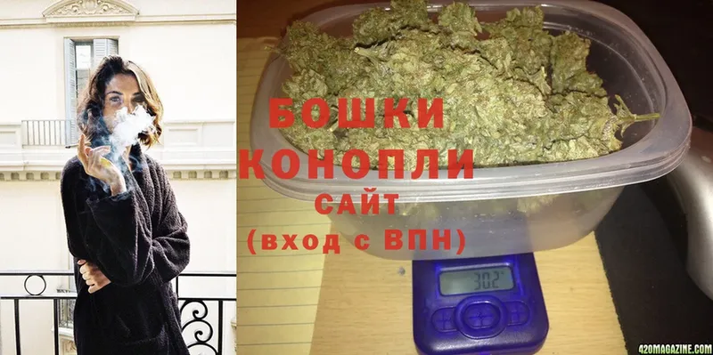 Каннабис OG Kush  Мышкин 